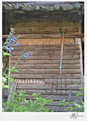 Signed Rustic Farm Shed Photograph Art Print Garden Flowers Pitchfork B2