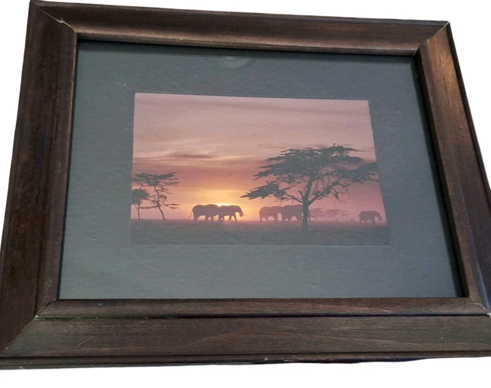 Artwork SUNRISE ELEPHANTS Original James Green Peaceful Nature Photograph 10×12