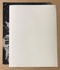 Vintage 11×14 unframed MUSIC & FLORAL Theme VIOLIN FLOWERS & BOOKS Photo Art B&W