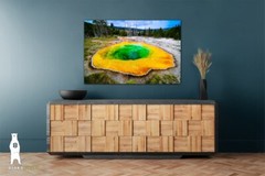 Morning Glory Pool in Yellowstone National Park, Wyoming, Photography Prints