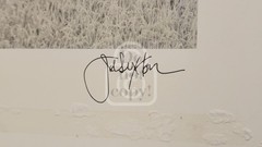 1990’s John Sexton Signed Photograph. Rice Field & Pine Forest. Tohoku, Japan