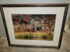Thomas Mangelsen moose signed Photo Print #150/950 1992 Sept. morning caribou