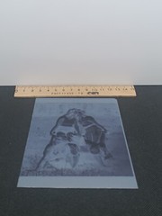 5##Photo negative film -Vintage- Kissing women – Lesbian couple – Love – Kiss