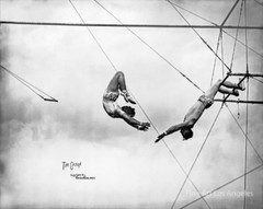 Fred Glasier Circus Photo «The Catch» 1907