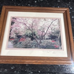 Cherry Blossom Photo Limited Edition # 4/89 Hand Signed Framed 16 1/2”x 13 1/2