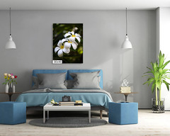 Island Elegance: Hawaiian White Plumeria Flower Wall Art Nature Print