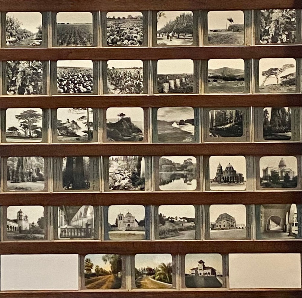 Gilbert? Hassell / Northern California Magic Lanterns Agricultural Big Trees