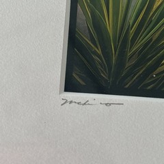 Framed Art Tlaquepaque Bouquet Mexico by Jim Nilsen Signed Minimalist 7” x 7”