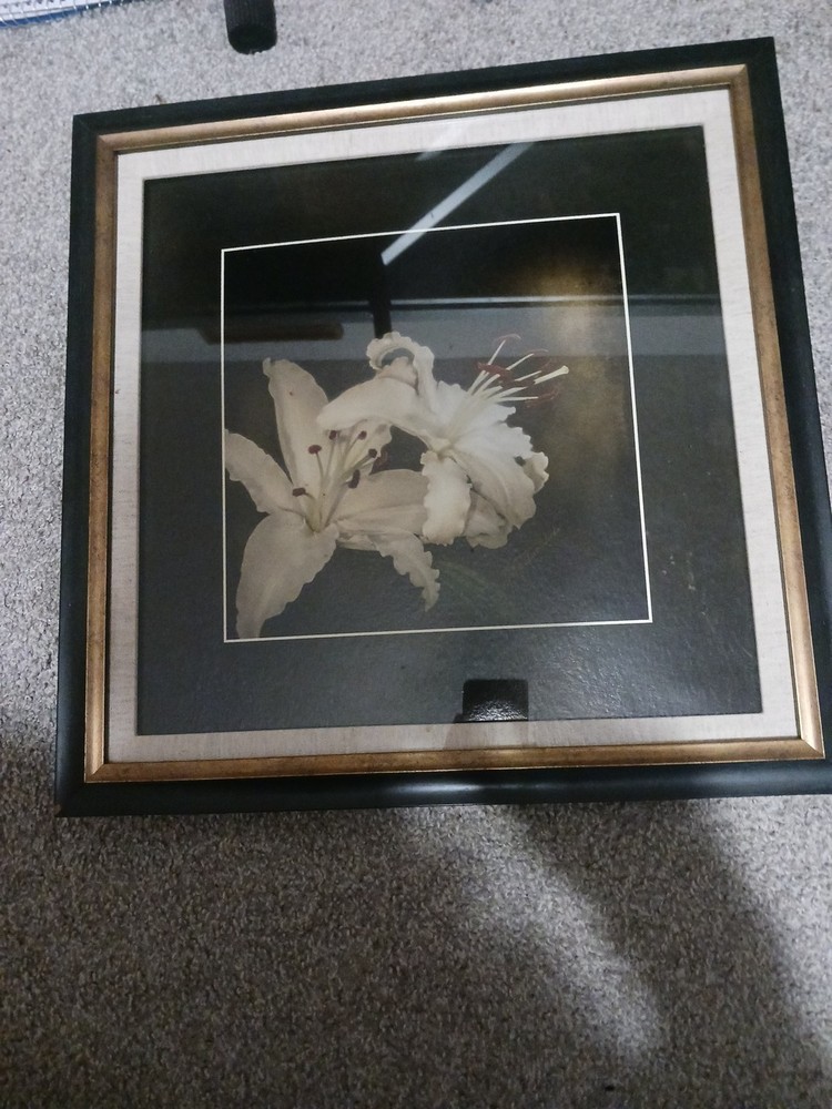 Mary Alice Valvoda 14 By 14 Professional Photography Framed Signed Coa Free Ship