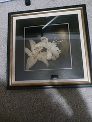Mary Alice Valvoda 14 By 14 Professional Photography Framed Signed Coa Free Ship