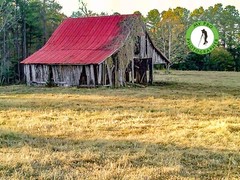 Red Roof Old Barn Photo Print by Phillip C. Thalheimer