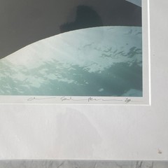 Signed Underwater Shark & Manta Ray Photographs Set, Matted, Landscape (3)