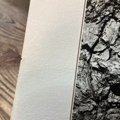 VTG Original Artwork Photography Modernist Black White Tree Bark Signed Soprano