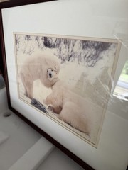 Framed Matted Polar Bear Wildlife Color Landscape Photograph Animals Nature
