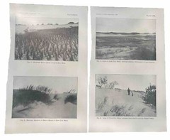1898 Cape Cod Photograph Antique Print Set Of 2, 5.5” X 9” Each