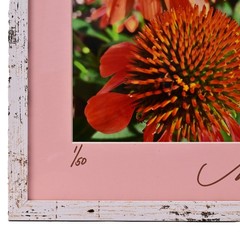 MICHAEL RAY Original Vintage Signed Long Island NY Floral Still Life Photograph