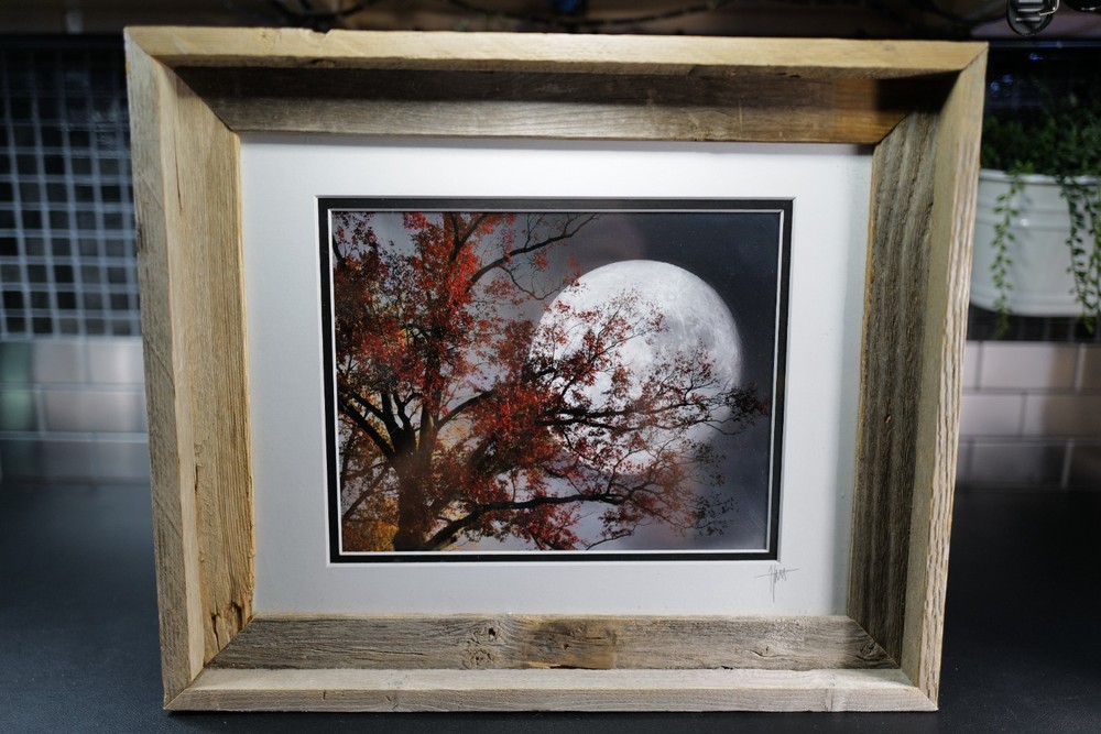 Rustic Reclaimed Barn Wood Framed Moon Tree Wall Art Signed Nature Photo 14”x11”