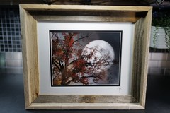 Rustic Reclaimed Barn Wood Framed Moon Tree Wall Art Signed Nature Photo 14”x11”