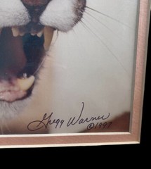 Florida Panther 14″x12″ Matted Photograph By Gregg Warner Signed 1997