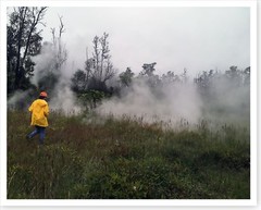 Steaming Crack Along Ala`ili Road Kilauea Volcano 2018 Silver Halide Photo