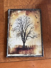 Javier Lopez Rotella Tree with Birds Framed Mixed Media 5X7 Photography