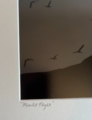 JOHN DAVID GEERY ~ «MOONLIGHT FLIGHT” SIGNED DIGITAL COMPOSITE PHOTO ~ 15” x 13”