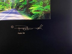 Peter Lik – Original Panoramic Slide Pieces of Film: Qty-5 (Very Rare Items)