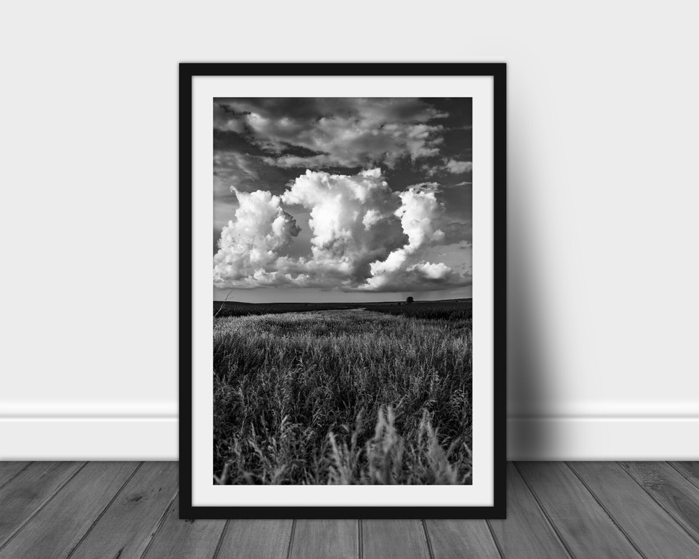 Black and white Iowa landscape photography print Midwest farmland wall art photo