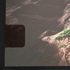 Zion National Park Narrows Photograph Signed David J. West on Aluminum 12″×12″