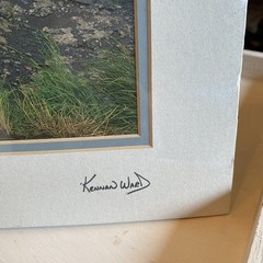 Kennan Ward Photography Signed Brown Bear “Grizzly” 1997