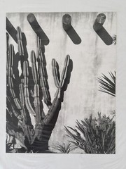 7×9 Black & White Stephen Stoneberg (Asheville, NC) Photographs on 13×14 Mattes