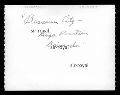Bessemer City Knight Mountain Drive-In – Polaroid Photo 11x8cm