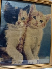 Vtg. Lambert Photo Frame- W/Calico Kittens Magazine 8 X 10 Photo Art Print