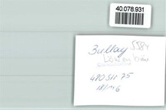40078931 – 5584 Bullay Lion Brown