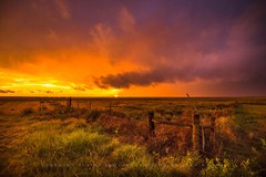 Prairie Sunset Photography Print: Oklahoma Great Plains Sky Landscape Photo