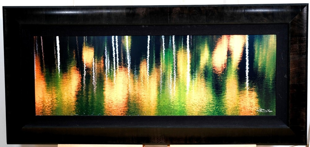 Jared & Trish McMillen «Aspen Pops» L.E. 15/250 Nature Photo Framed 62″ x 29″