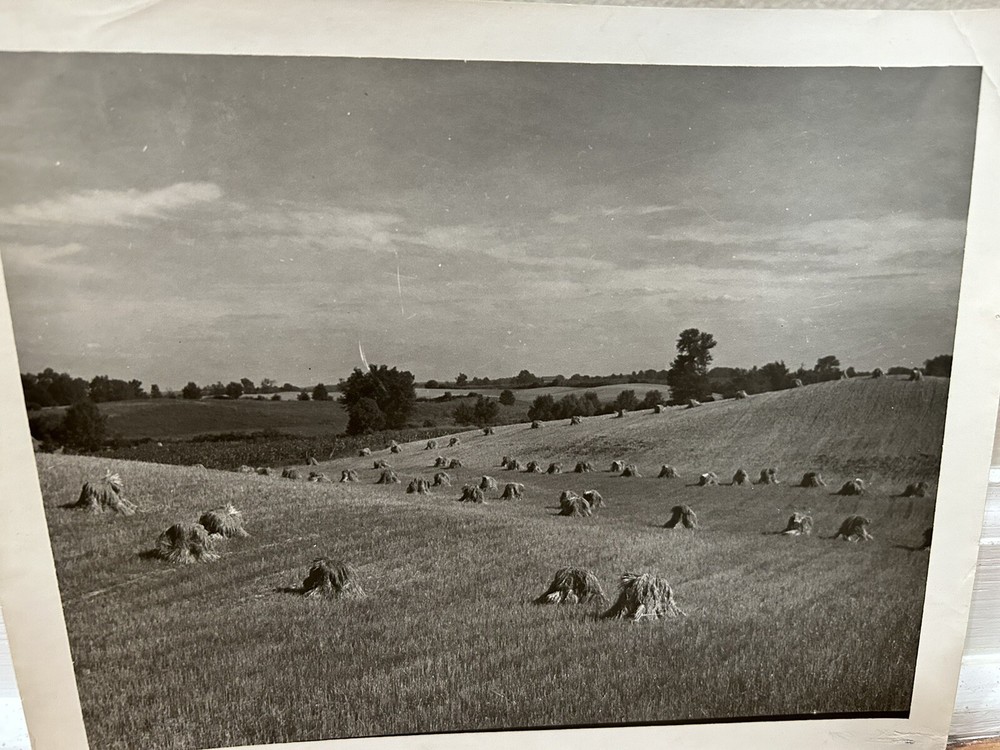 Arthur Gray Standard Oil Photographer Cleveland Ohio Americana Haystacks Monet