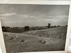 Arthur Gray Standard Oil Photographer Cleveland Ohio Americana Haystacks Monet