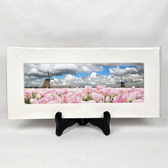 Keukenhof by Challa – Tulips Windmills Matted Art Photograph