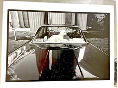 Neal White Signed Photograph «No Dogs Allowed» – 1976/2006 Epson Print