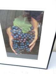 «Hands and Grapes»Sylvia Ernestina Vergara Photography Art 12″x15″Framed. PR2-11