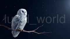 Geometric Origami Owl Digital Image Download White Low Poly Bird Art Print PNG
