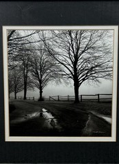 Harold Silverman «after The Rain” Print Black White Photo Matted And Framed