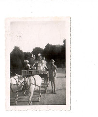 13247- Photo * Children on Goat Wagon * 1930s-40s