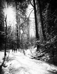 LANDSCAPE 8.5×11 or 13X19 B&W BORDERLESS GLOSSY PRINT (FREE SHIPPING)