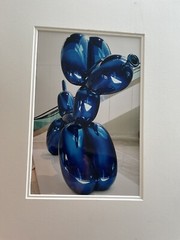 Alexander Hofrichter Ballon Dog 2002 Photo German Artist 12+8 Inches Blue