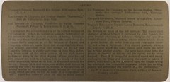 United States USA Cleopatra Terrace Mammoth Photo Stereo Vintage 1904