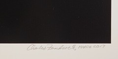 Charles Fendrock ‘Turtle, Bottom’ Unframed B&W Photograph – Large Format