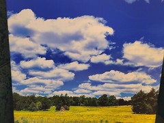 Canvas Photo Clouds Over A Golden Field Haw River, NC 16×20 Ltd Ed Signed