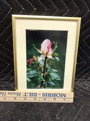 Framed & Matted Photograph “Peace Rose After The Rain” Switzer Custom Frame
